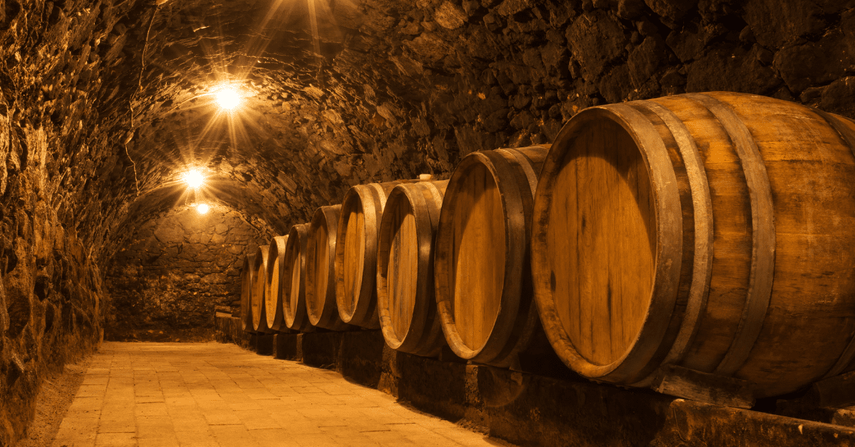 Top 5 Best Dehumidifier for Wine Cellar in 2024