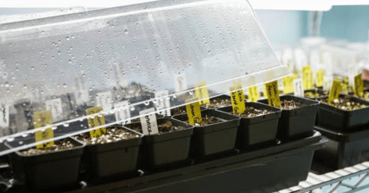 What is a Humidity Dome?- 2026 Insights