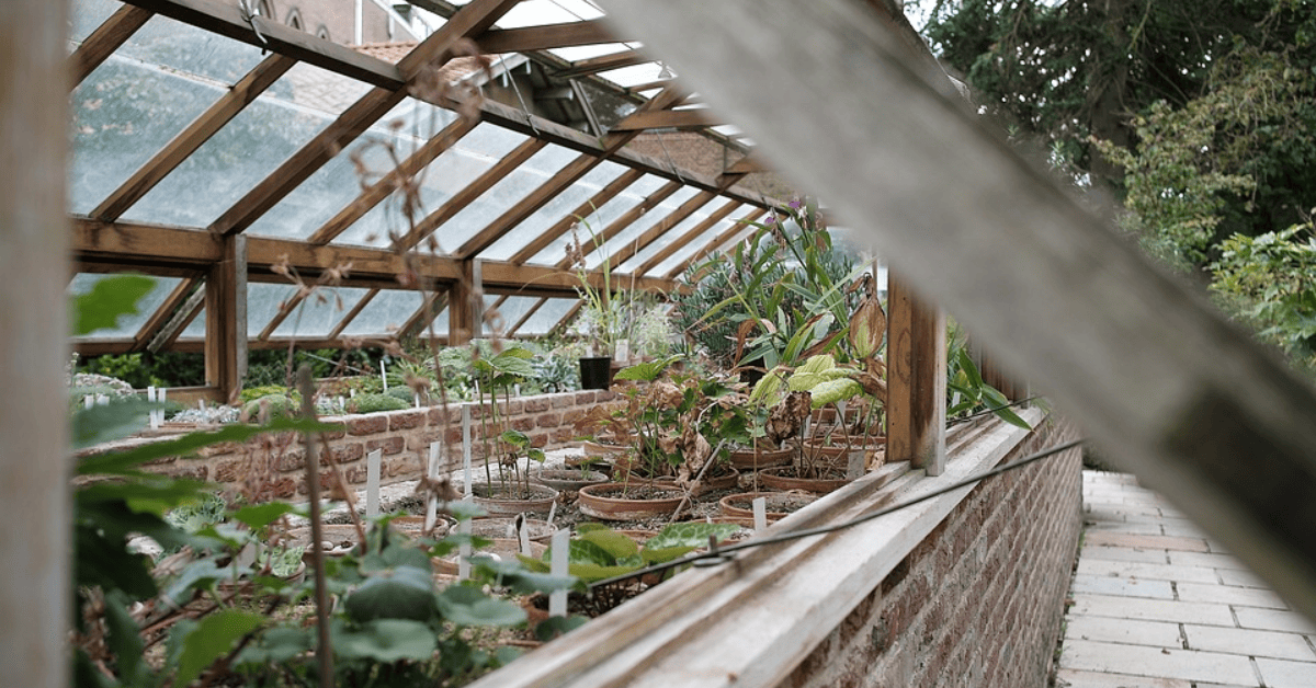 The Most Efficient Greenhouse Dehumidification Basics 2024