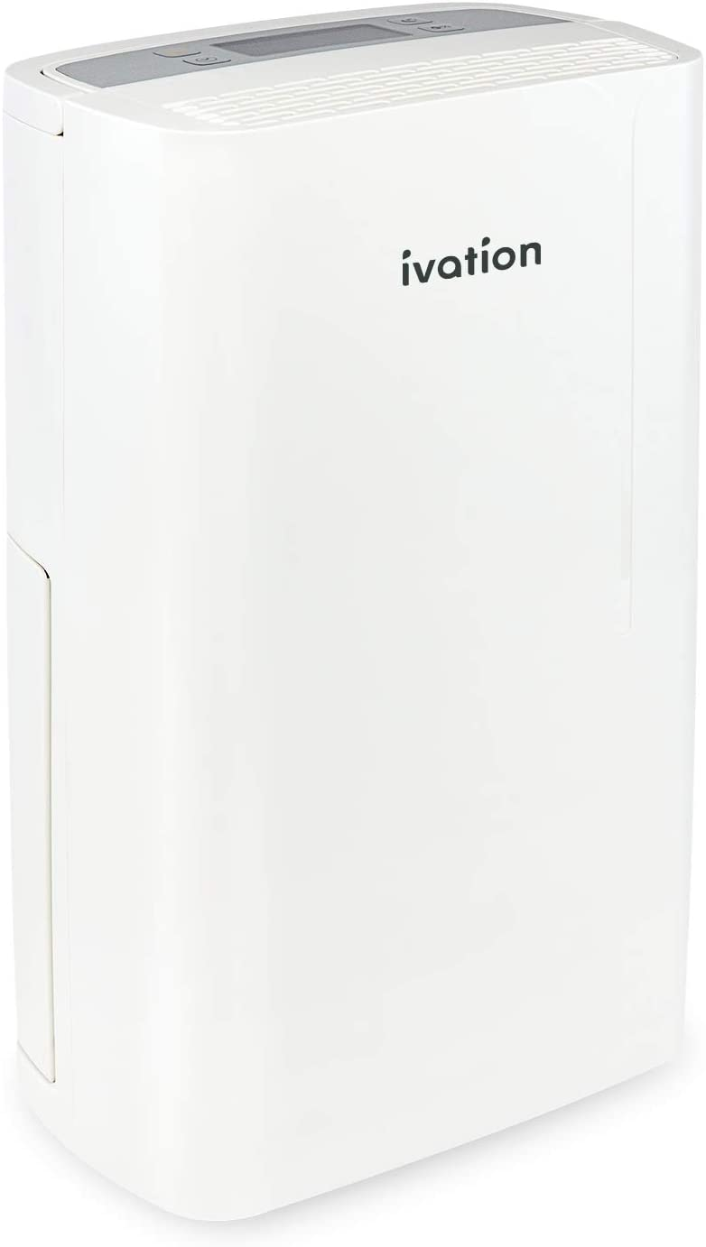 Top 5 Best Dehumidifier for Wine Cellar in 2024