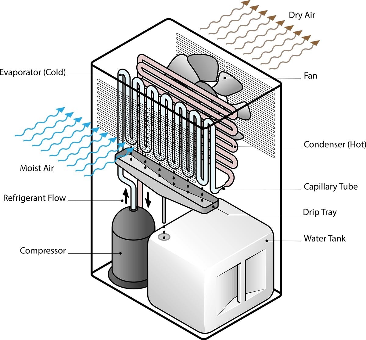 Why Is My Dehumidifier Blowing Cold Air? 2024