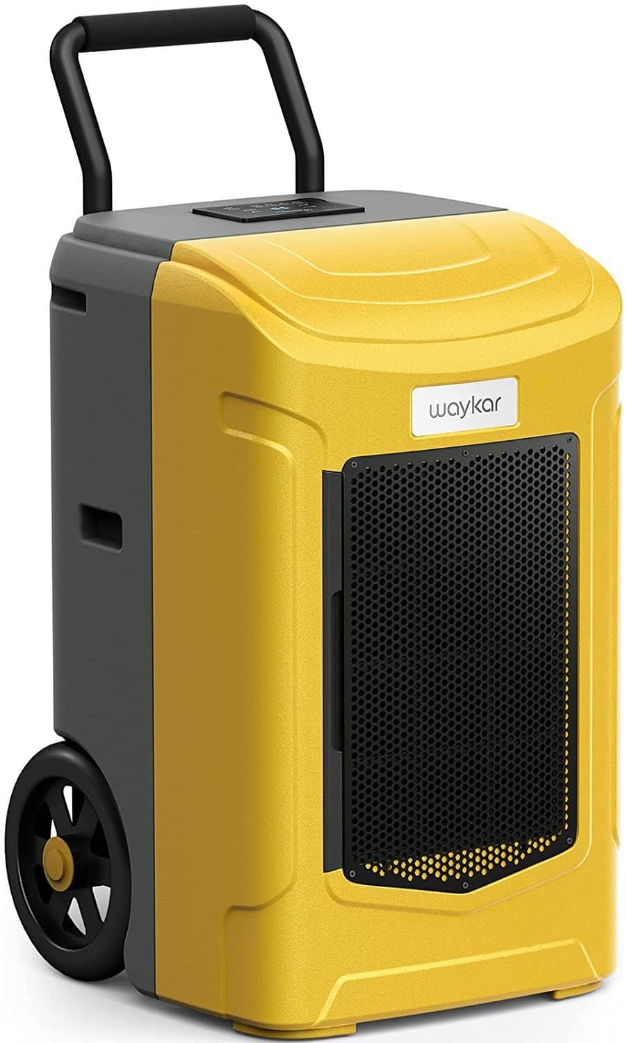 Best Dehumidifier for Wet Carpet After Flood Damage Best Dehumidifier