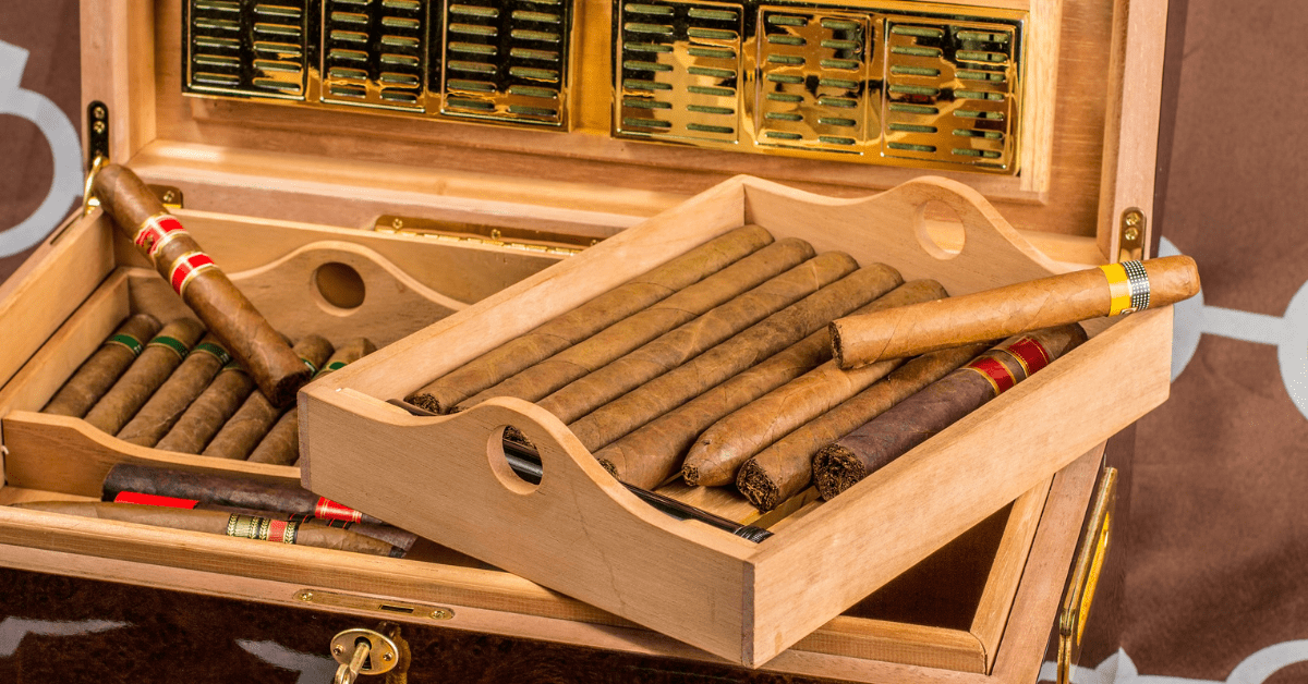 Ideal Humidity Level for Humidor in 2024